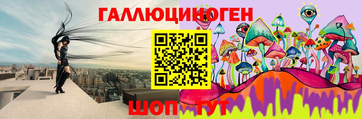 Галлюциногенные грибы Psilocybine cubensis  Псилоцибиновые грибы прущие грибы  Звенигород  Вход с VPN 